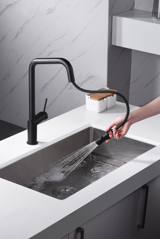 Grifo de cocina serie Bonn