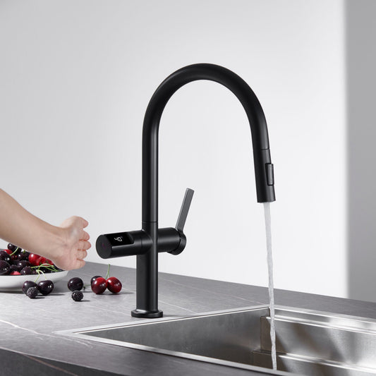 Grifo de cocina serie Turín