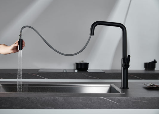 Grifo de cocina serie Niza